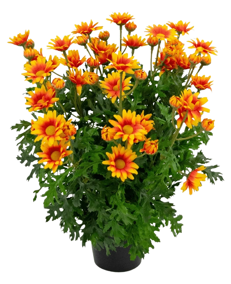 Künstliche Pflanze Gänseblümchen 31 cm