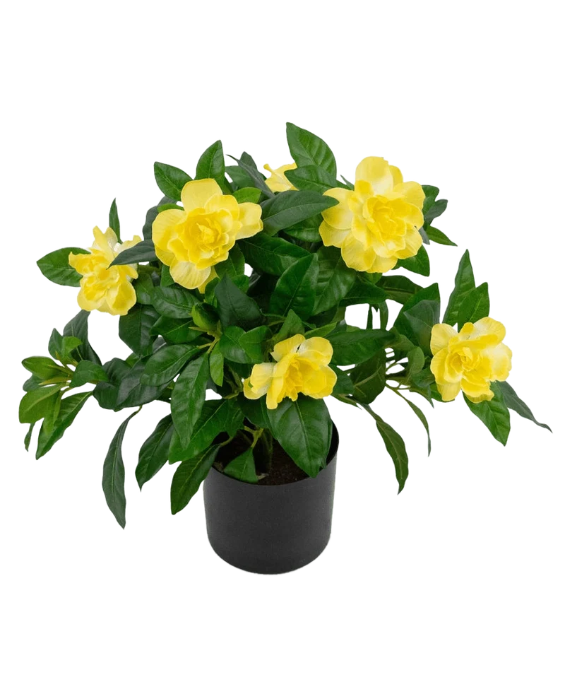 Künstliche Pflanze Gardenia 39 cm